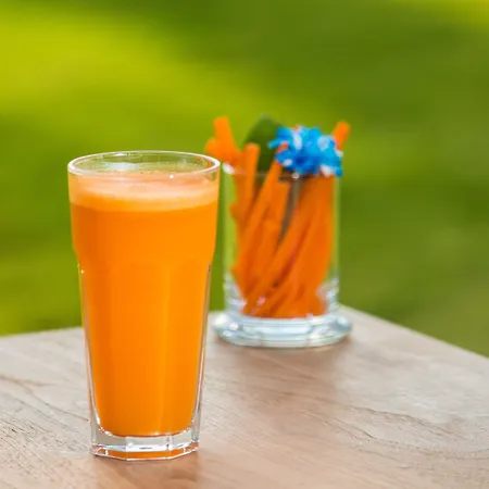 The Lifeco Well-being Detox Center And Vegan Hotel Antalya