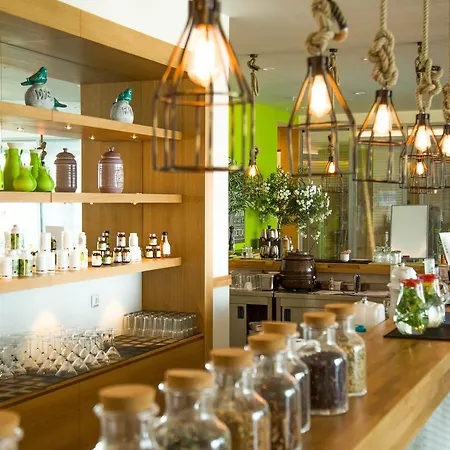 Hotel The Lifeco Well-being Detox Center And Vegan 3*
