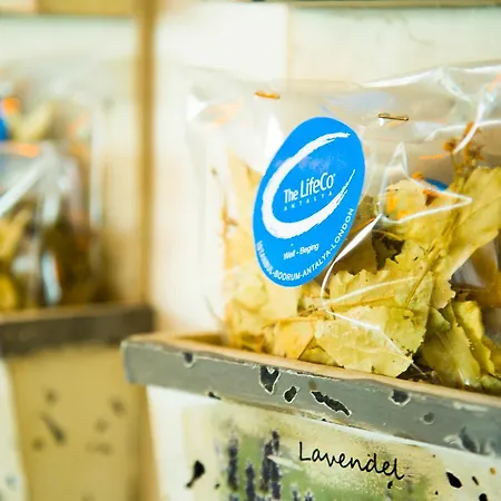 The Lifeco Well-being Detox Center And Vegan 3*
