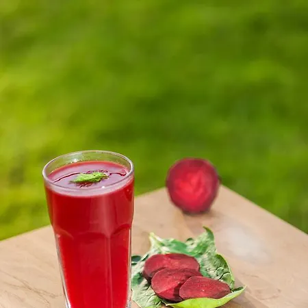 The Lifeco Well-being Detox Center And Vegan 3* Antalya
