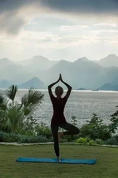 The Lifeco Well-being Detox Center And Vegan 3*