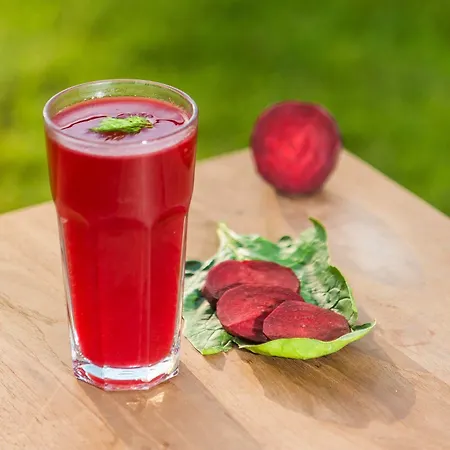 Hotel The Lifeco Well-being Detox Center And Vegan Antalya