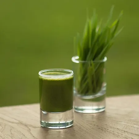 The Lifeco Well-being Detox Center And Vegan 3* Antalya
