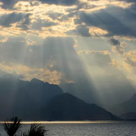 Otel The Lifeco Well-being Detox Center And Vegan Antalya