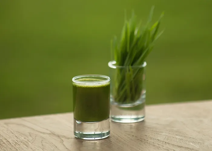 The Lifeco Well-being Detox Center And Vegan Hotel