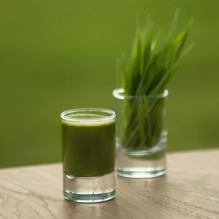 The Lifeco Well-being Detox Center And Vegan Hotel