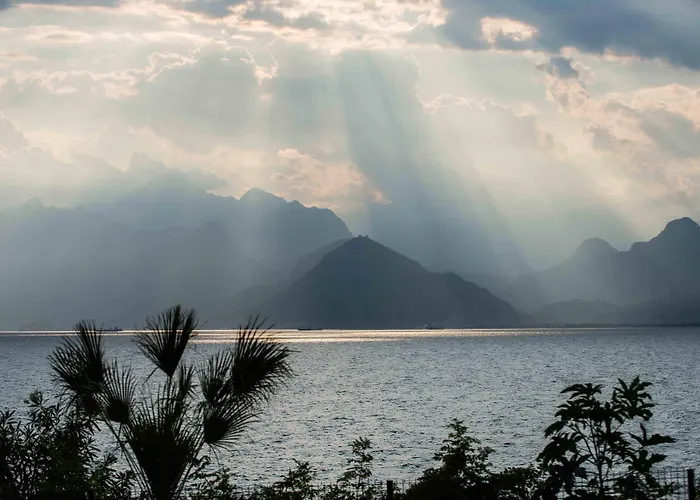 The Lifeco Well-being Detox Center And Vegan Antalya