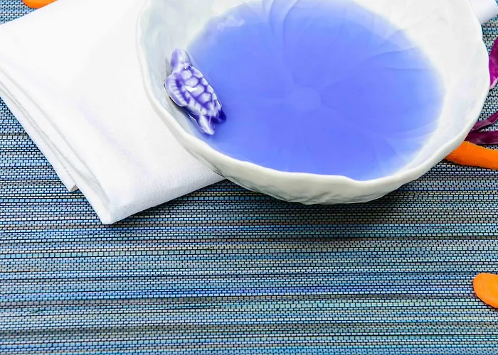 The Lifeco Well-being Detox Center And Vegan Hotel