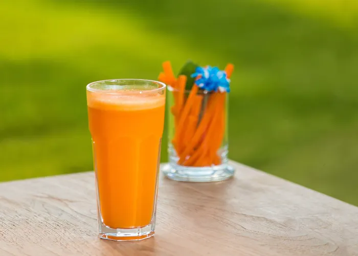 The Lifeco Well-being Detox Center And Vegan Hotel Antalya