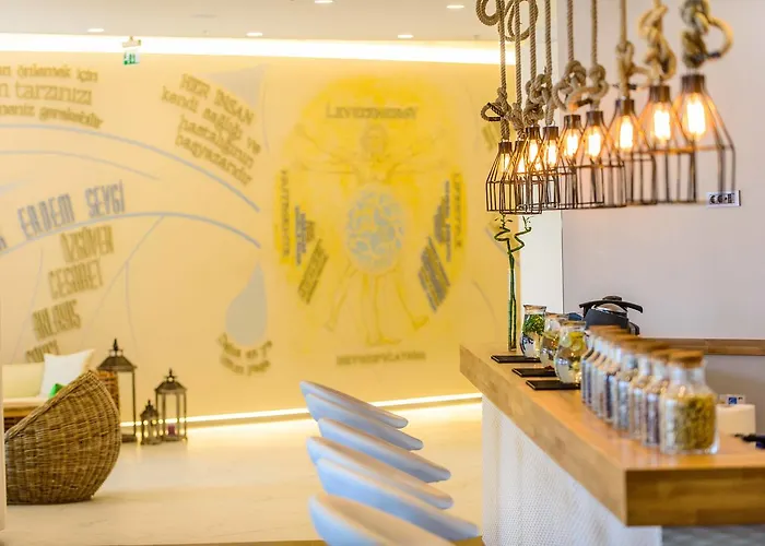 The Lifeco Well-being Detox Center And Vegan 3*
