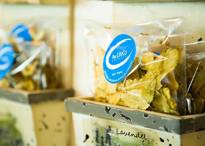 The Lifeco Well-being Detox Center And Vegan 3*