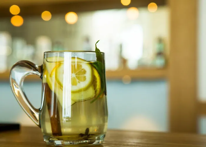 Hotel The Lifeco Well-being Detox Center And Vegan Antalya