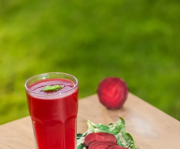 The Lifeco Well-being Detox Center And Vegan 3* Antalya